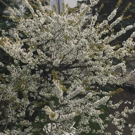 Typu - Przy Plazy Orlowo Apartman Gdynia