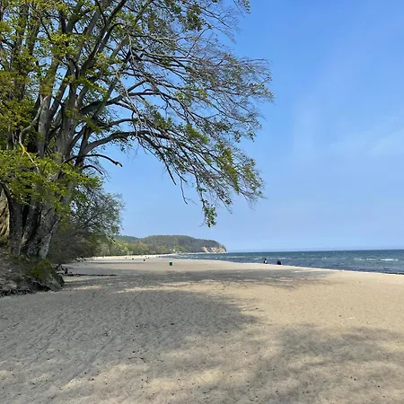 Typu - Przy Plazy Orlowo * Gdynia