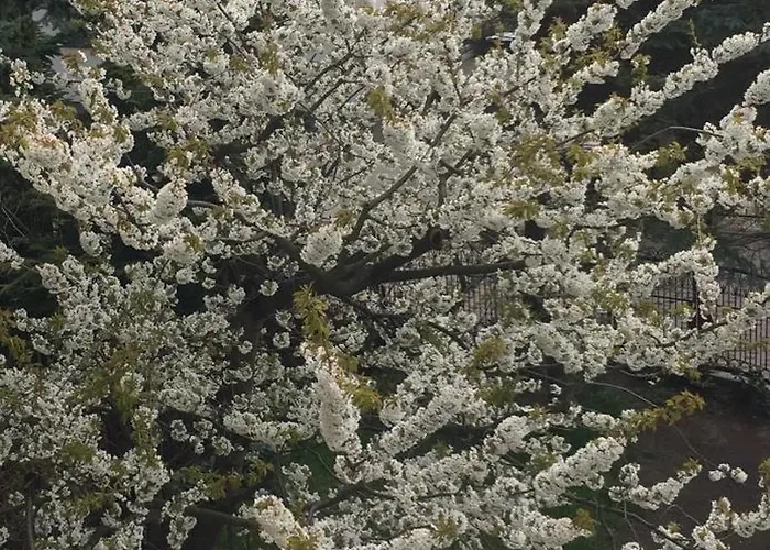 Typu - Przy Plazy Orlowo Appartamento Gdynia