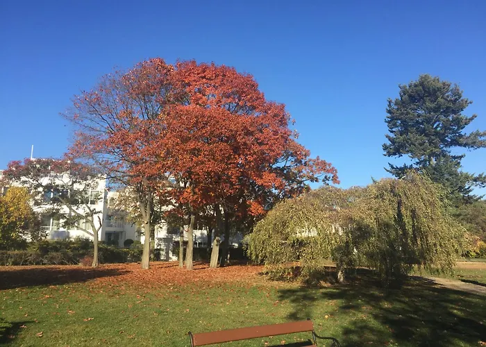 Appartamento Typu - Przy Plazy Orlowo